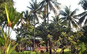 Amigos Bungalows Gili Meno